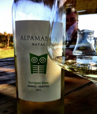 wine, Argentina, Uco Valley, Mendoza, Lujan de Cuyo, Alpamanta, Sauvignon Blanc, biodynamic