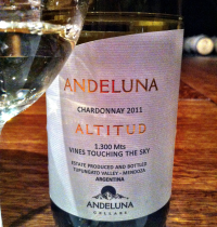 Andeluna, wine, Argentina, Uco Valley, Mendoza