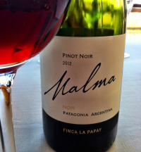 Argentina, Patagonia, Wines of Argentina, Rio Negro, NQN Malma
