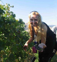 Black Hills Estate Winery, Nota Bene, Okanagan Valley, Black Sage Bench, Oliver BC, Daenna Van Mulligen