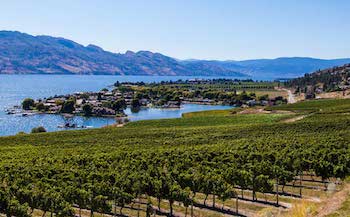 Quails Gate, Sunnyside, Stewart Family Estates, BC Wine, East Kelowna, West Kelowna